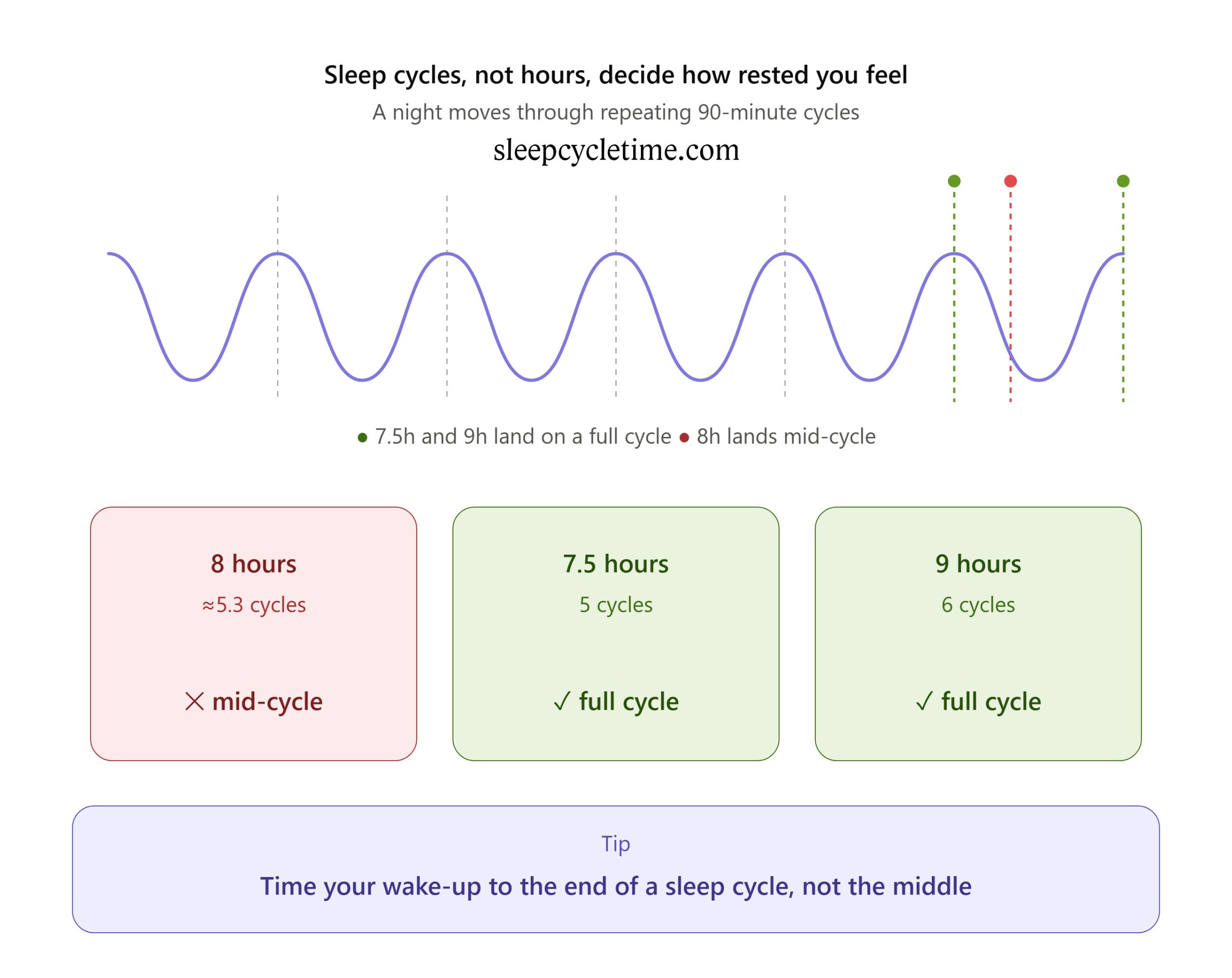 Why Am I Still Tired After 8 Hours of Sleep? The Real Reason 2 why tired after 8 hours infographic scaled